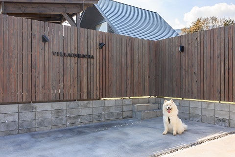 VILLA ONE SORAの看板の前でおすわりする犬